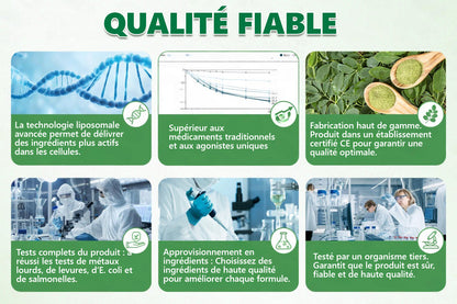 Boutique Officielle | 🍀 CareUplift® Patch Nano-Microneedle Métabolique 🇫🇷 (Un patch par jour, résultats visibles en 7 jours) Formule Berbérine + Moringa ✅ Pour obésité, relâchement cutané, diabète, troubles du sommeil, douleurs articulaires… 💯